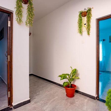 Goan Fiesta Studio Calangute Goa Villa Bagian luar foto